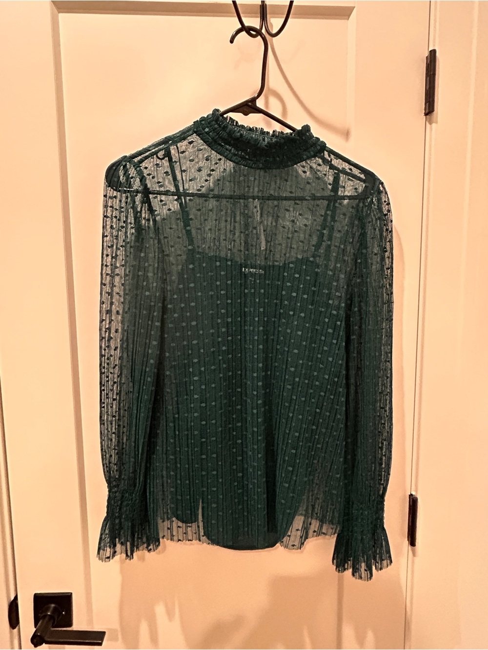 Express Teal Sheer Swiss Dot High Neck Blouse